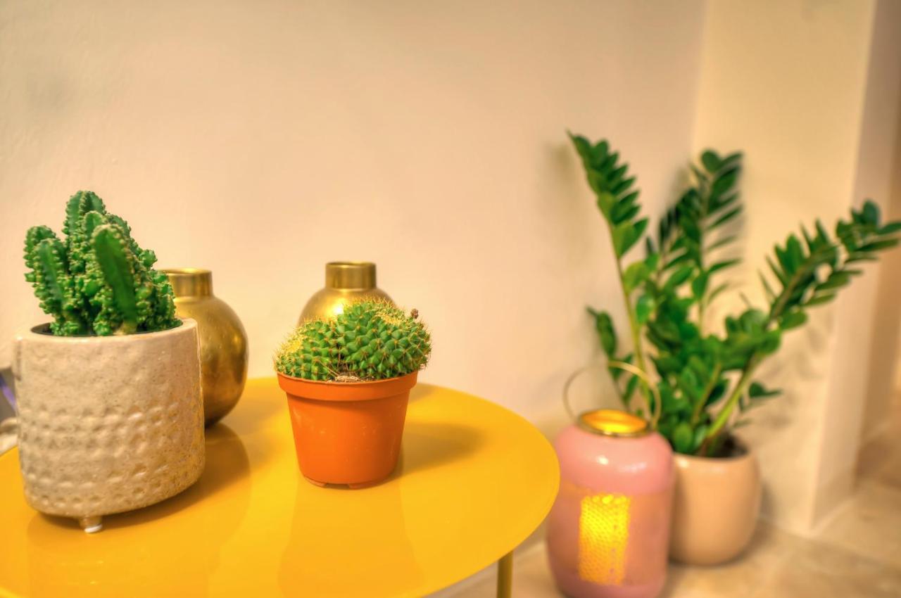 Stylish & Traditional 1 Bedroom Ddem1-1 Apartment